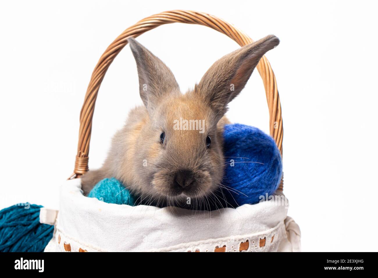 Ein süßes flauschiges braunes Kaninchen sitzt in einem Korb mit Gewirr aus Strickgarn. Schönes Foto für Kalender, Ostern oder Postkarte. Stockfoto