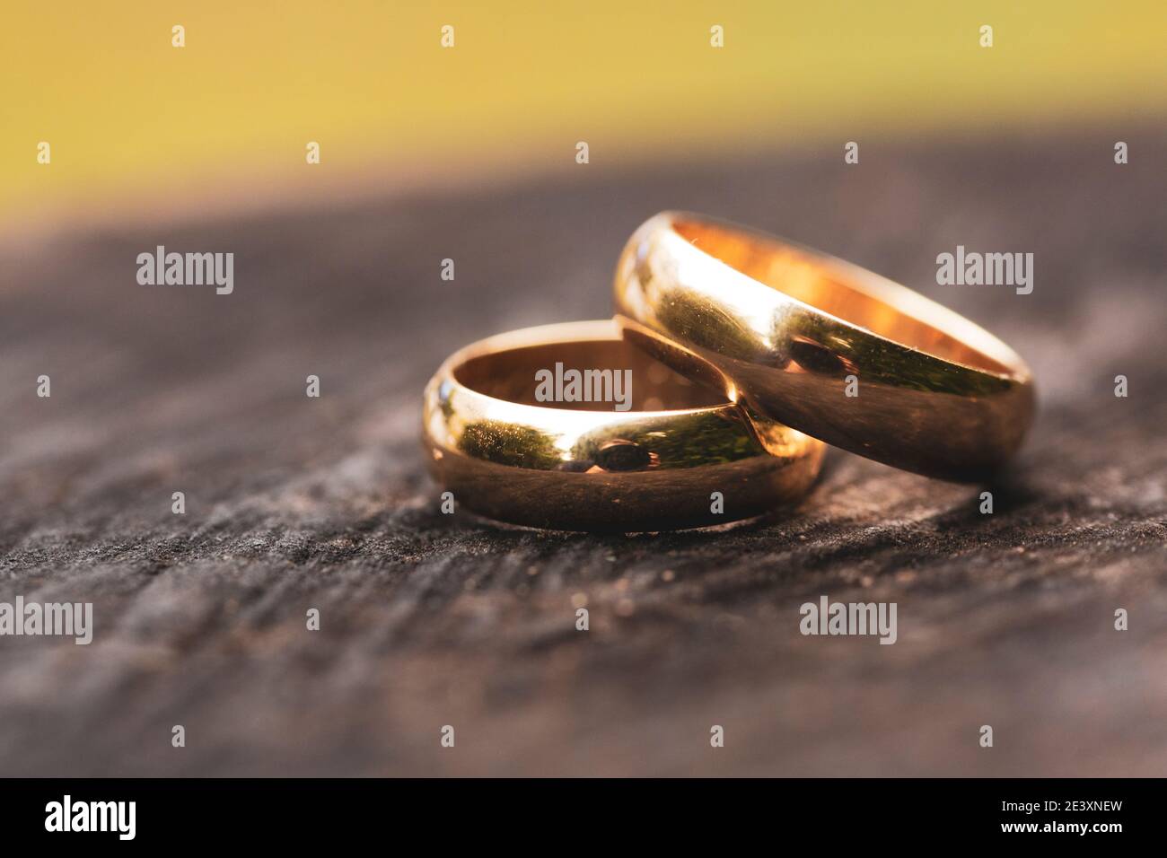 Detail von zwei Eheringen auf einem gelegt Baumstamm Stockfoto