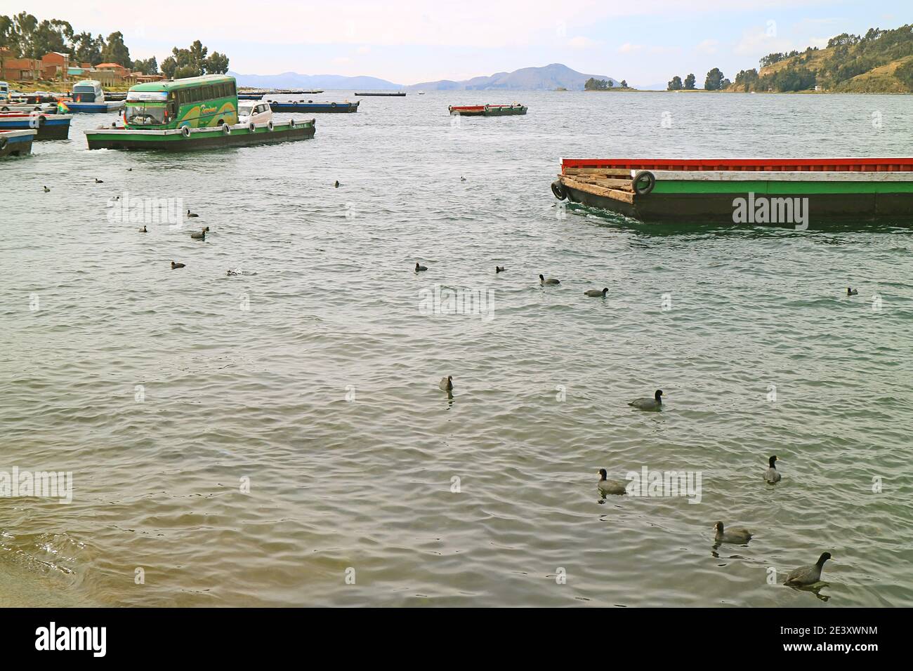 Verkehr und Transport auf dem Titicacasee mit einem Schwarm von Andenvogelvögeln, Bolivien, Südamerika Stockfoto