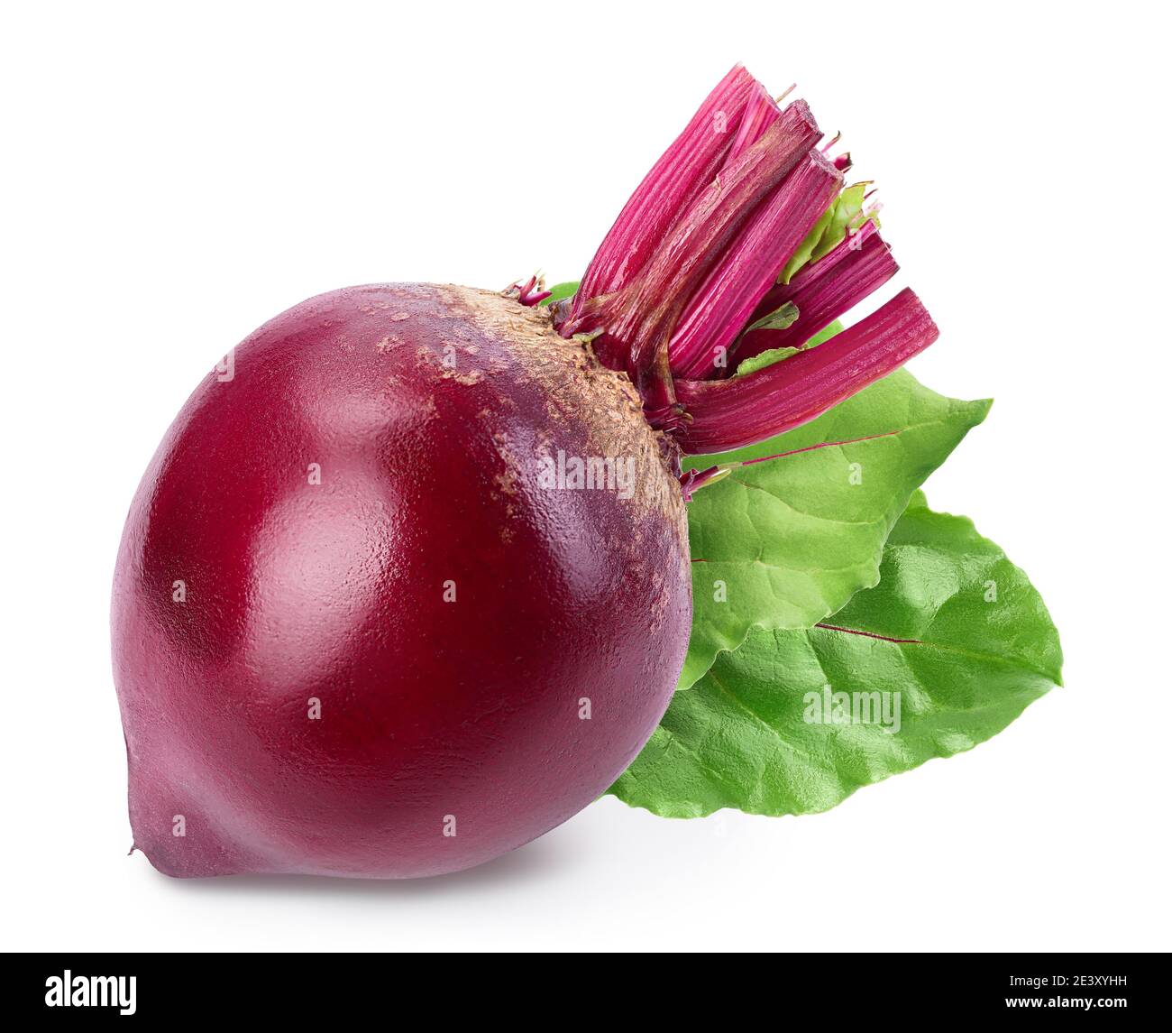 Rote Bete isoliert auf weißem Hintergrund mit Beschneidungspfad und voller Schärfentiefe Stockfoto