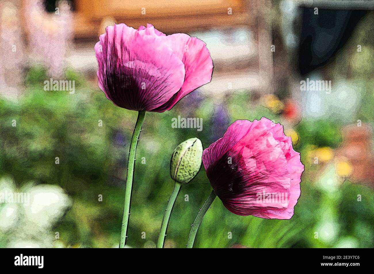 Rund um das Vereinigte Königreich - Poster-Effekt zu einem Mohnblumen hinzugefügt. Stockfoto