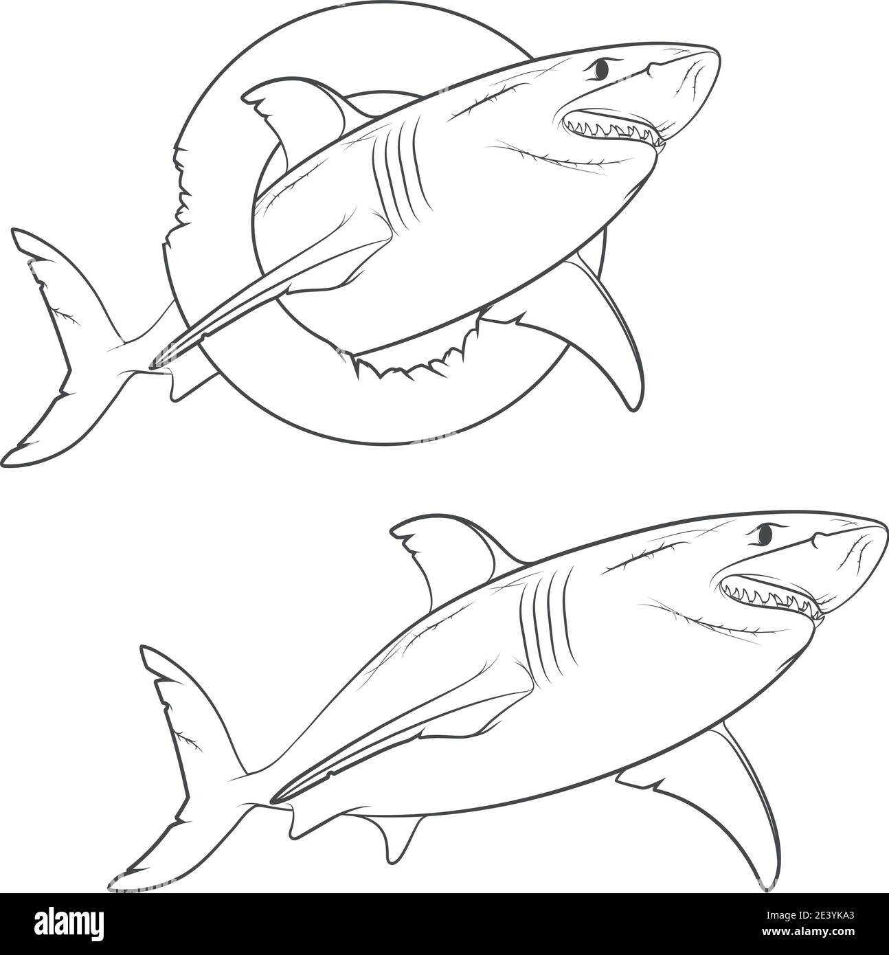Vektorzeichnung eines schrecklichen Hais. Isolierte Objekte auf weißem Hintergrund. Stock Vektor
