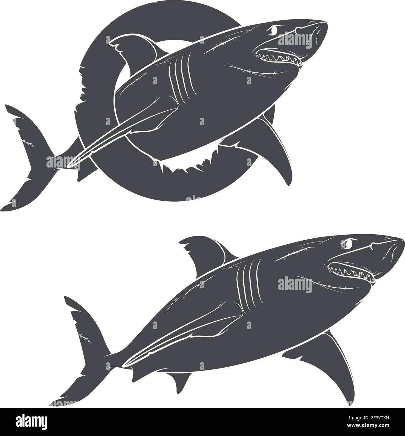 Vektorzeichnung eines schrecklichen Hais. Isolierte Objekte auf weißem Hintergrund. Stock Vektor