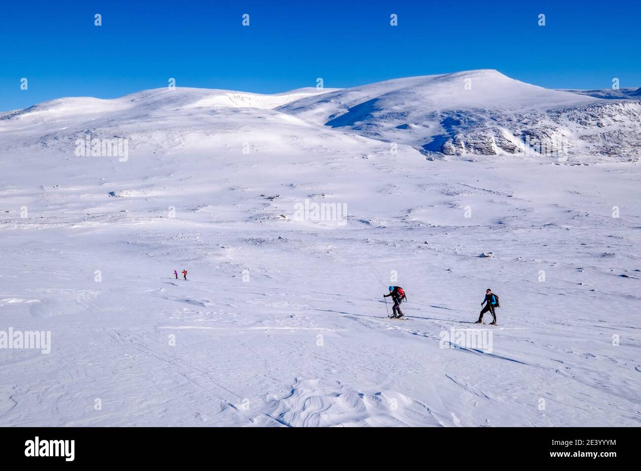 Skibergsteigen auf Snohetta in Dovre, einem der höchsten Berge Norwegens Stockfoto