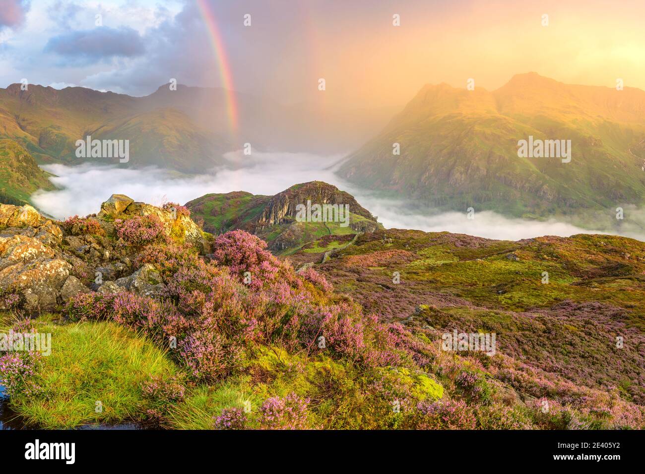 Atemberaubender Sonnenaufgang mit Regenbogen über dem Wolkental. Die mit Heidekraut gefüllte Landschaft wurde im Lake District, Großbritannien, aufgenommen. Stockfoto