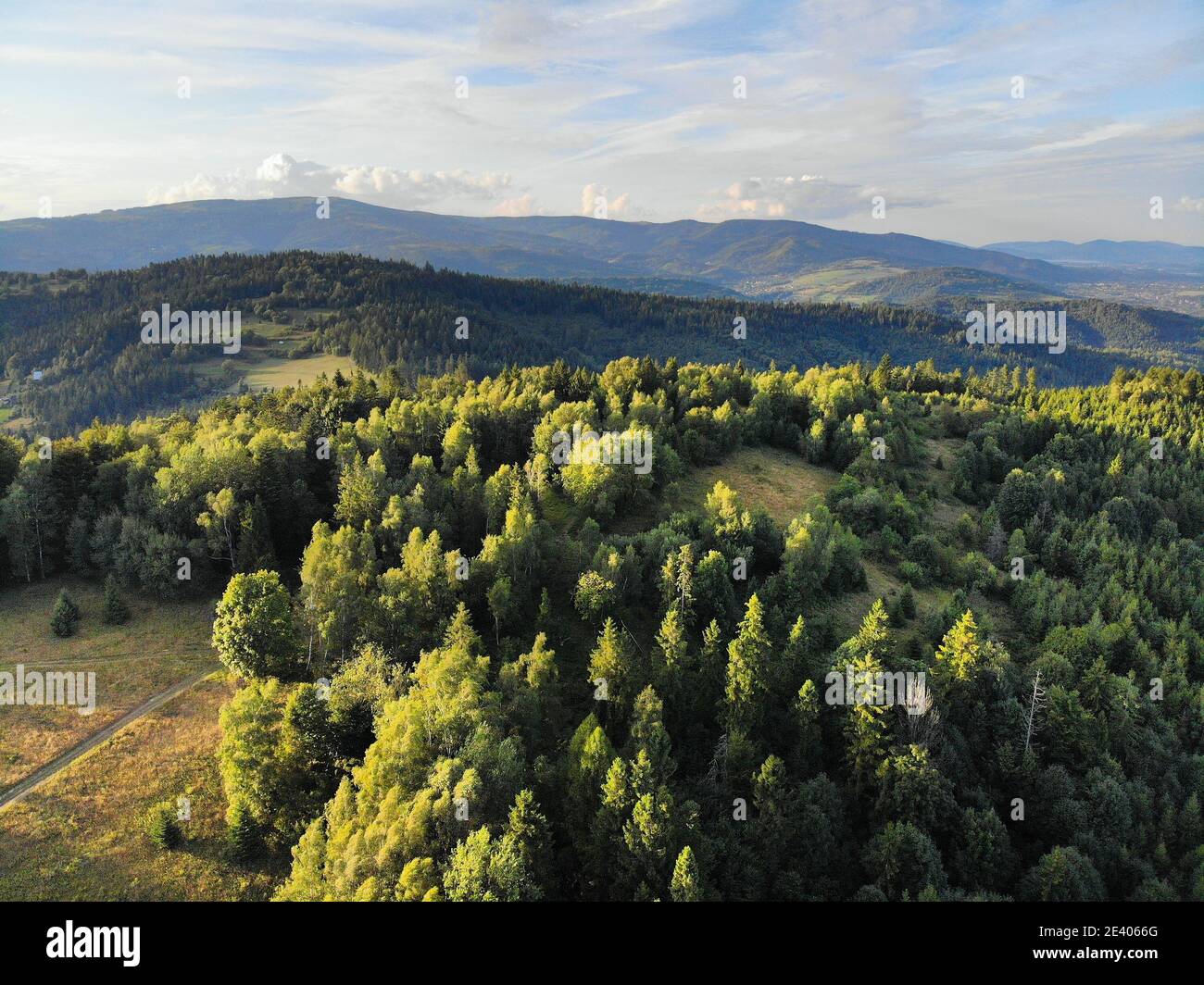 Beskids Berge in Polen. Landschaft von Zywiec Beskids (Beskid Zywiecki) bei Milowka. Stockfoto
