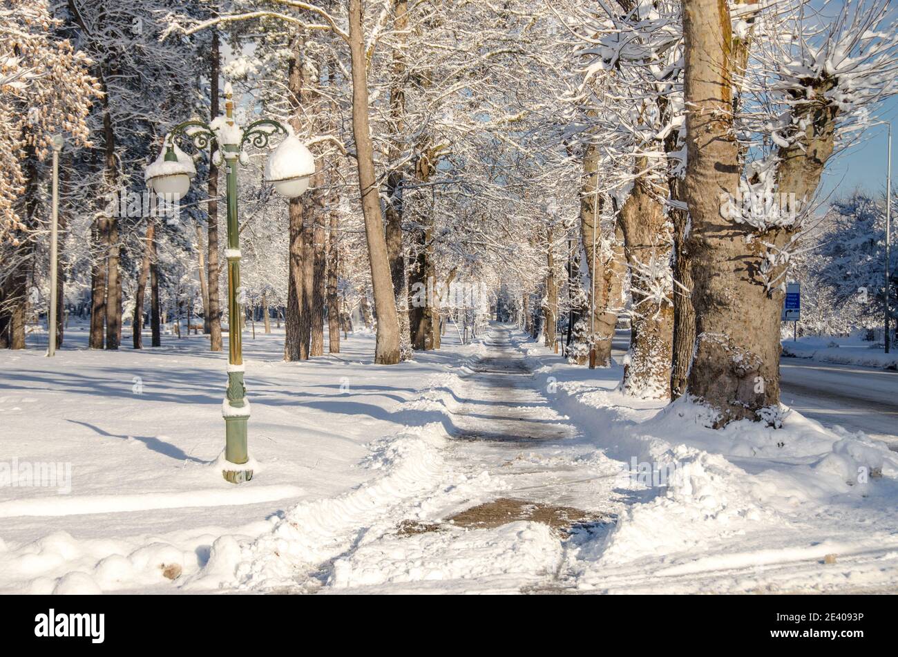 Schnee im Bitola Stadtpark, Mazedonien Stockfoto