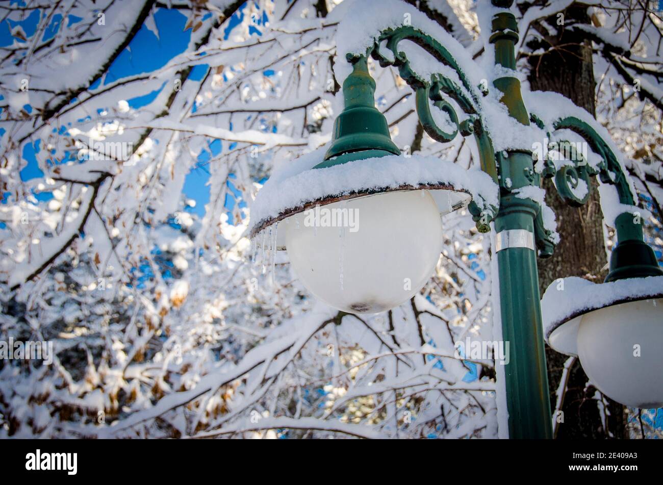 Schnee, Winterbäume - Bitola Stadtpark, Mazedonien Stockfoto