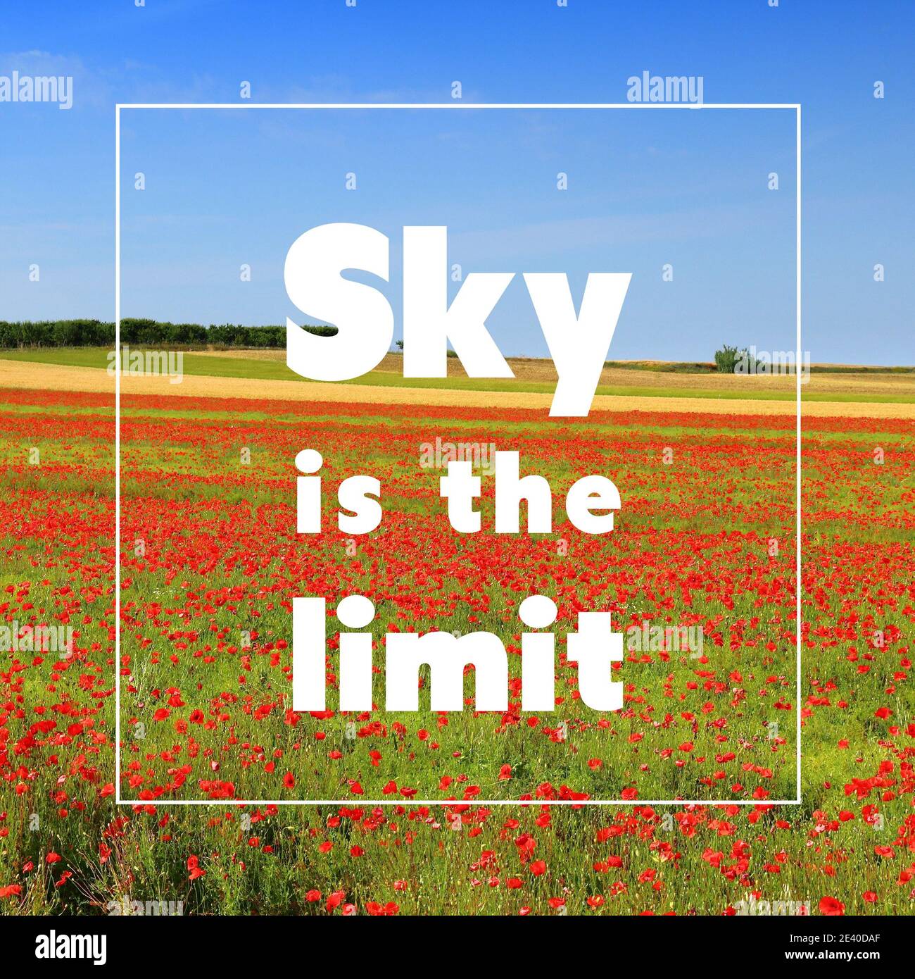 Himmel ist die Grenze. Inspirierendes Poster für das Angebot am Arbeitsplatz. Text zur Erfolgsmotivation. Stockfoto