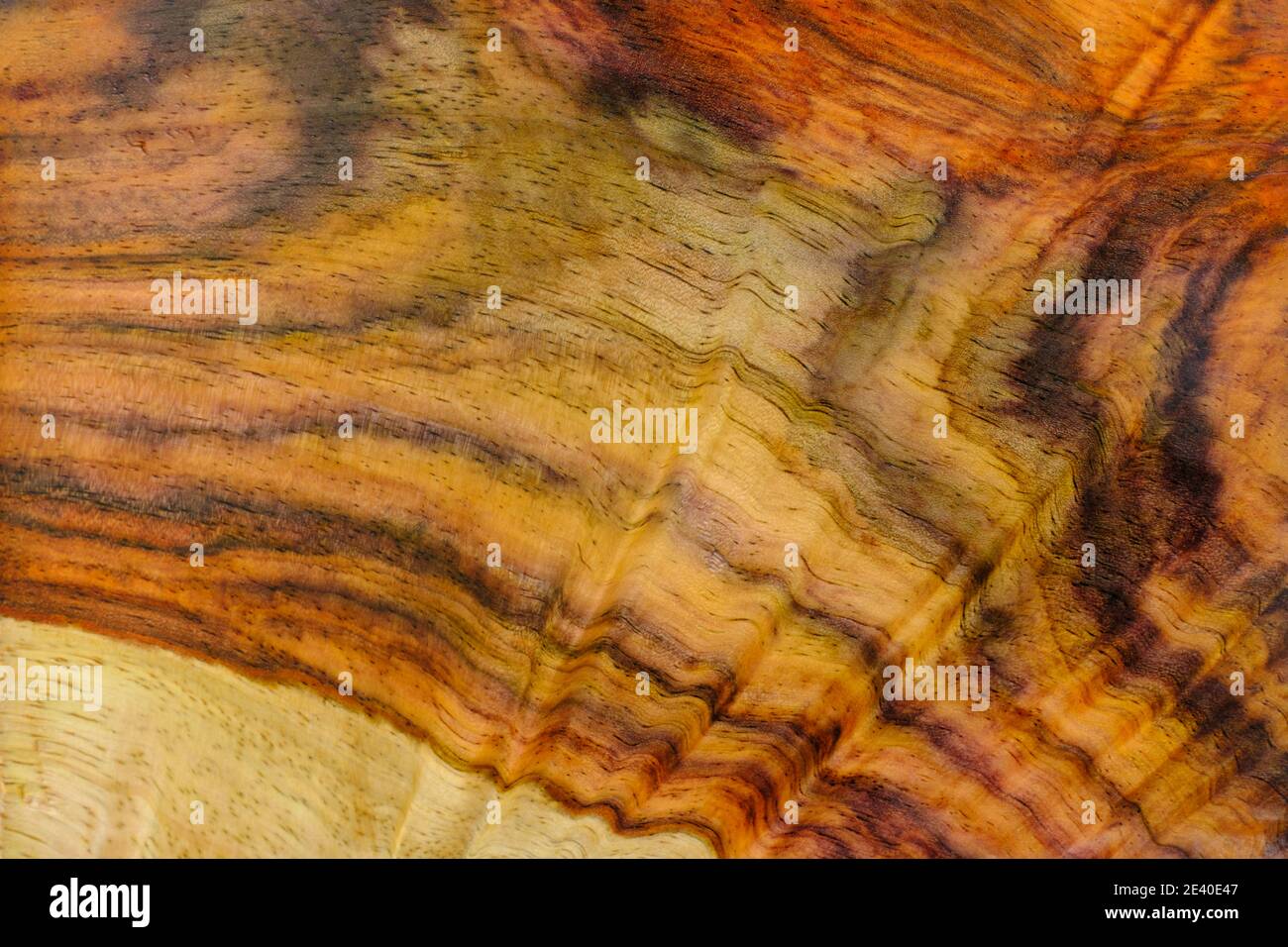 Palisander Holz Textur Hintergrund Oberfläche mit natürlichen Muster Stockfoto