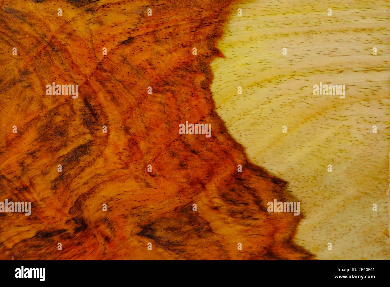 Palisander Holz Textur Hintergrund Oberfläche mit natürlichen Muster Stockfoto