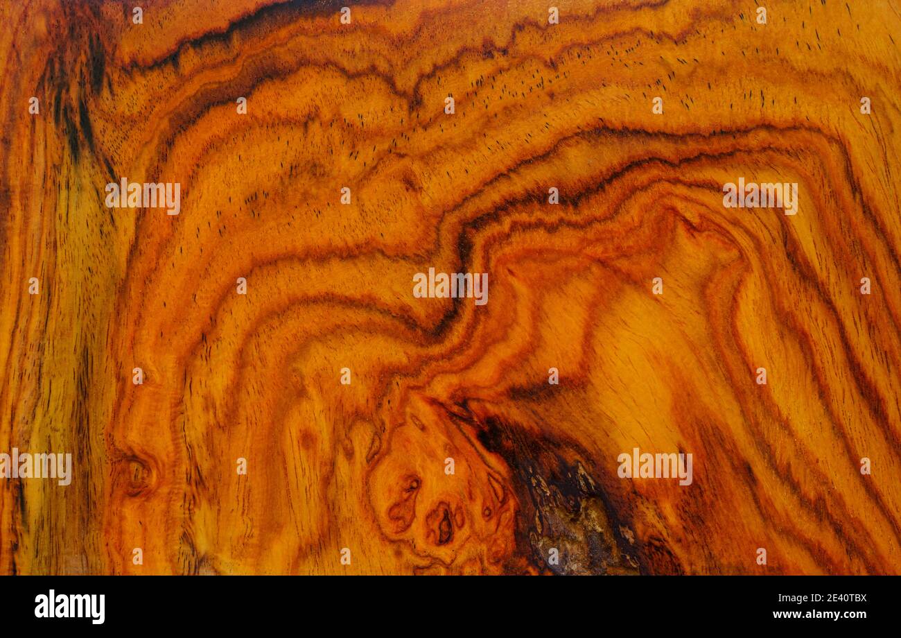 Palisander Holz Textur Hintergrund Oberfläche mit natürlichen Muster Stockfoto