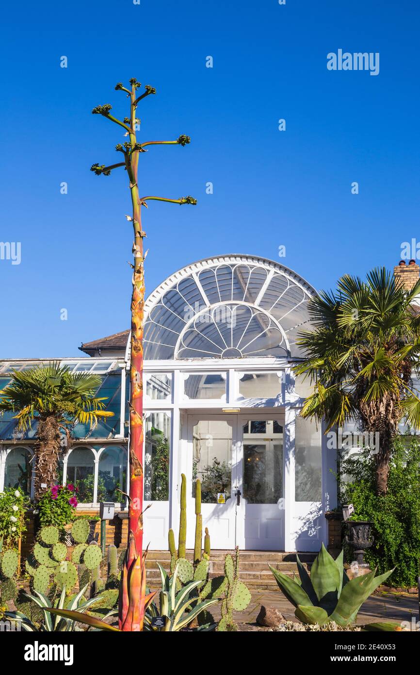 Großbritannien, England, West Midlands, Birmingham, Edgbaston, Birmingham Botanical Gardens Stockfoto