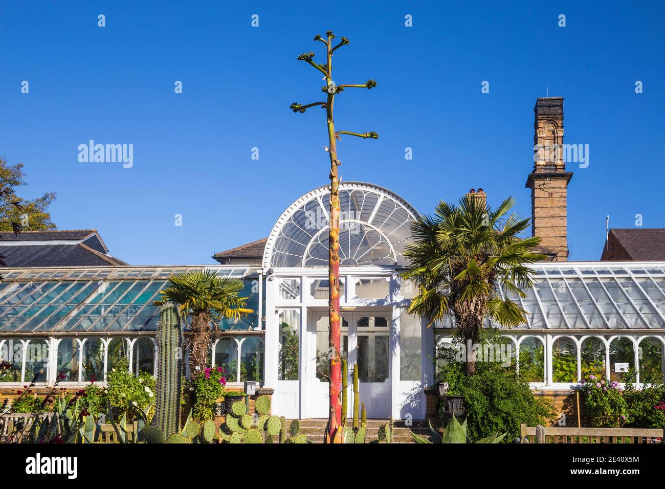 Großbritannien, England, West Midlands, Birmingham, Edgbaston, Birmingham Botanical Gardens Stockfoto