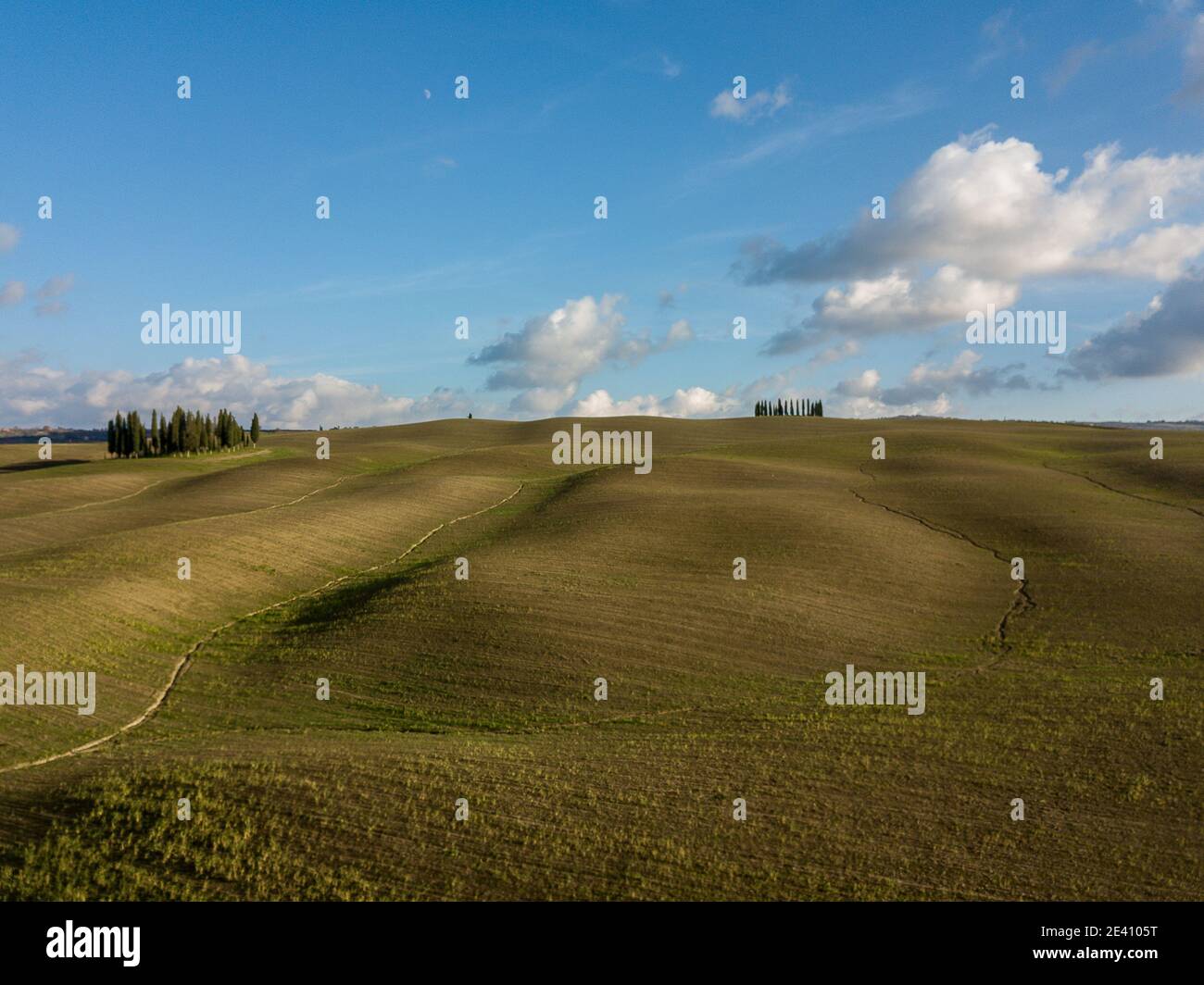 Cipressi San Quirico d'Orcia Toscana UNESCO - Val D'orcia Stockfoto