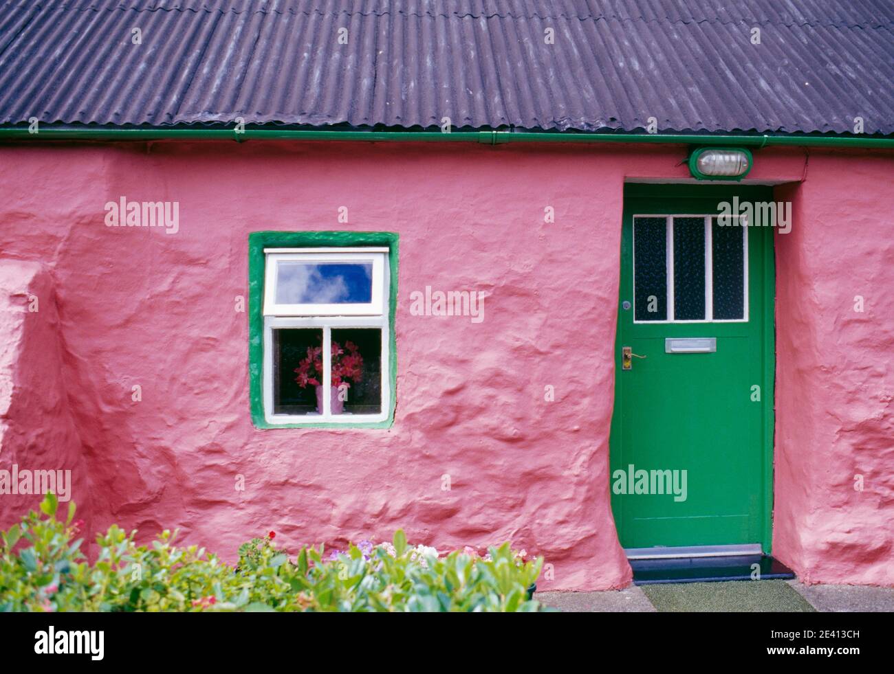 Einstöckiges traditionelles Steinhaus, dunkelrosa gestrichen mit grüner Glanzfarbe an den Türen und um die Fenster herum. Wellblechdach, porth oer, lieyn p Stockfoto