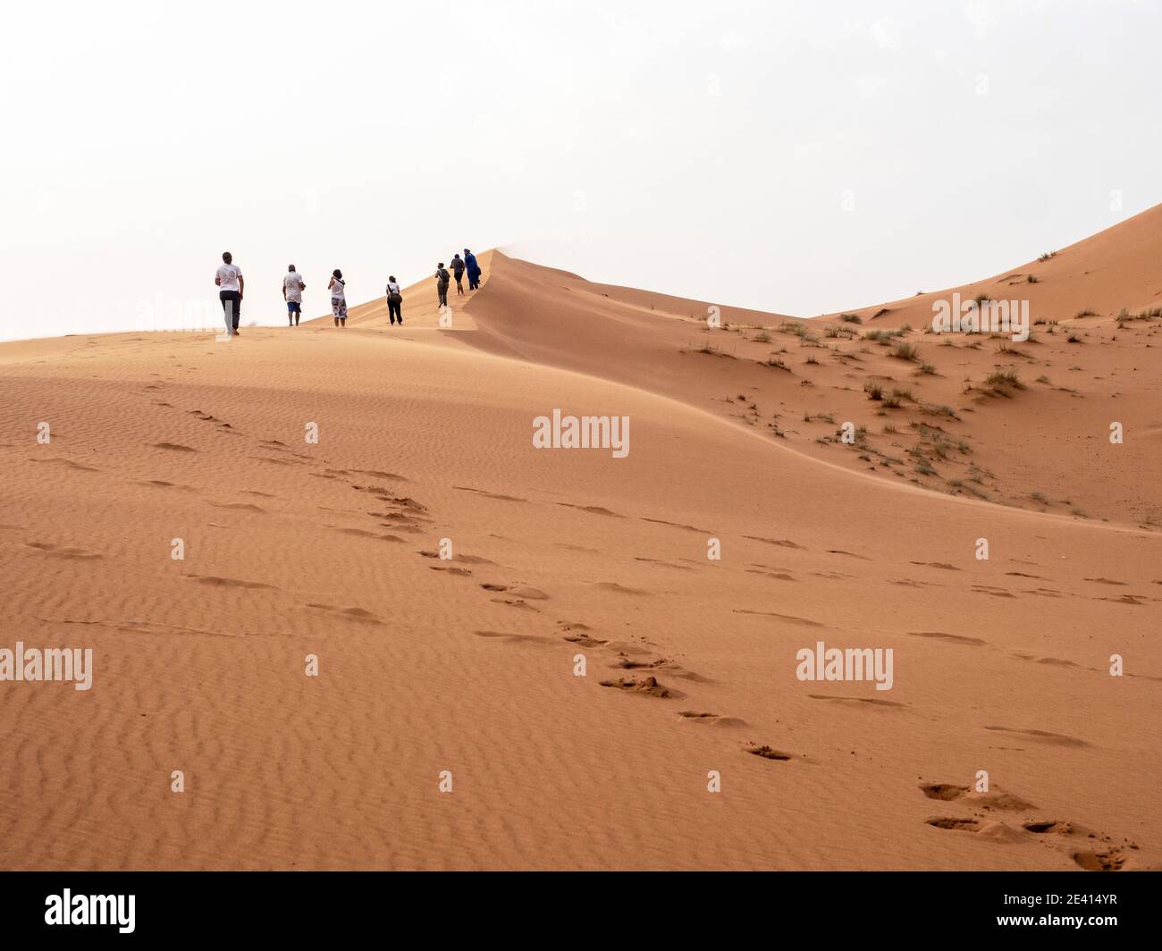 Eine Reihe von Touristen klettern eine große Sanddüne in Merzouga, Sahara von Marokko. Stockfoto