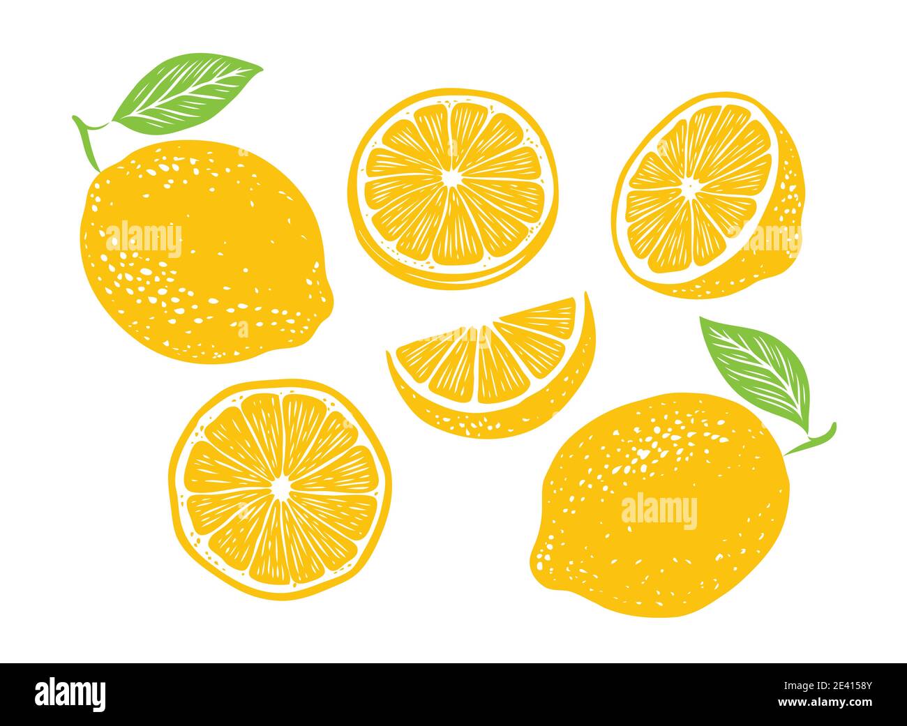 Frische Zitronenfrüchte, Sammlung von Vektor-Illustration Stock Vektor