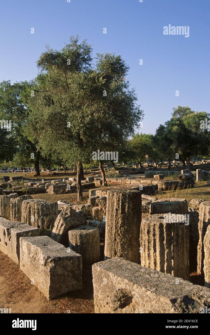 Das Antike Olympia. Ruinen des Zeustempel aus dem 5. Jahrhundert, Olympia, Peloponnes, Griechenland Stockfoto