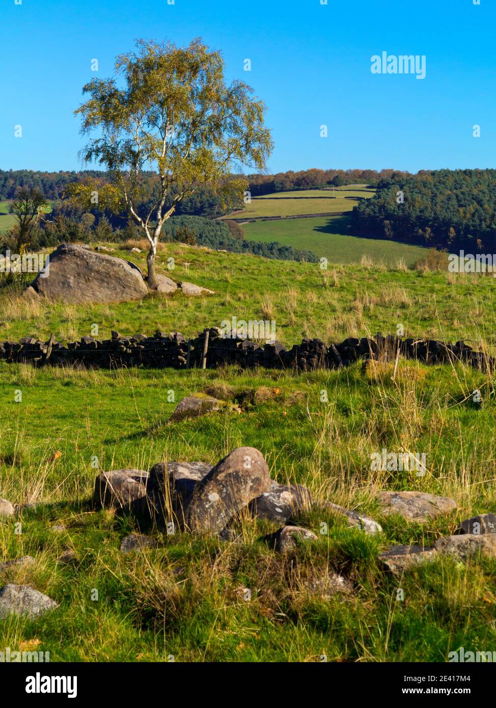 Felsen in Robin Hood's Stride oder Mock Bettler's Mansion A Felsformation in der Nähe von Birchover im Peak District National Park Derbyshire Dales England Großbritannien Stockfoto