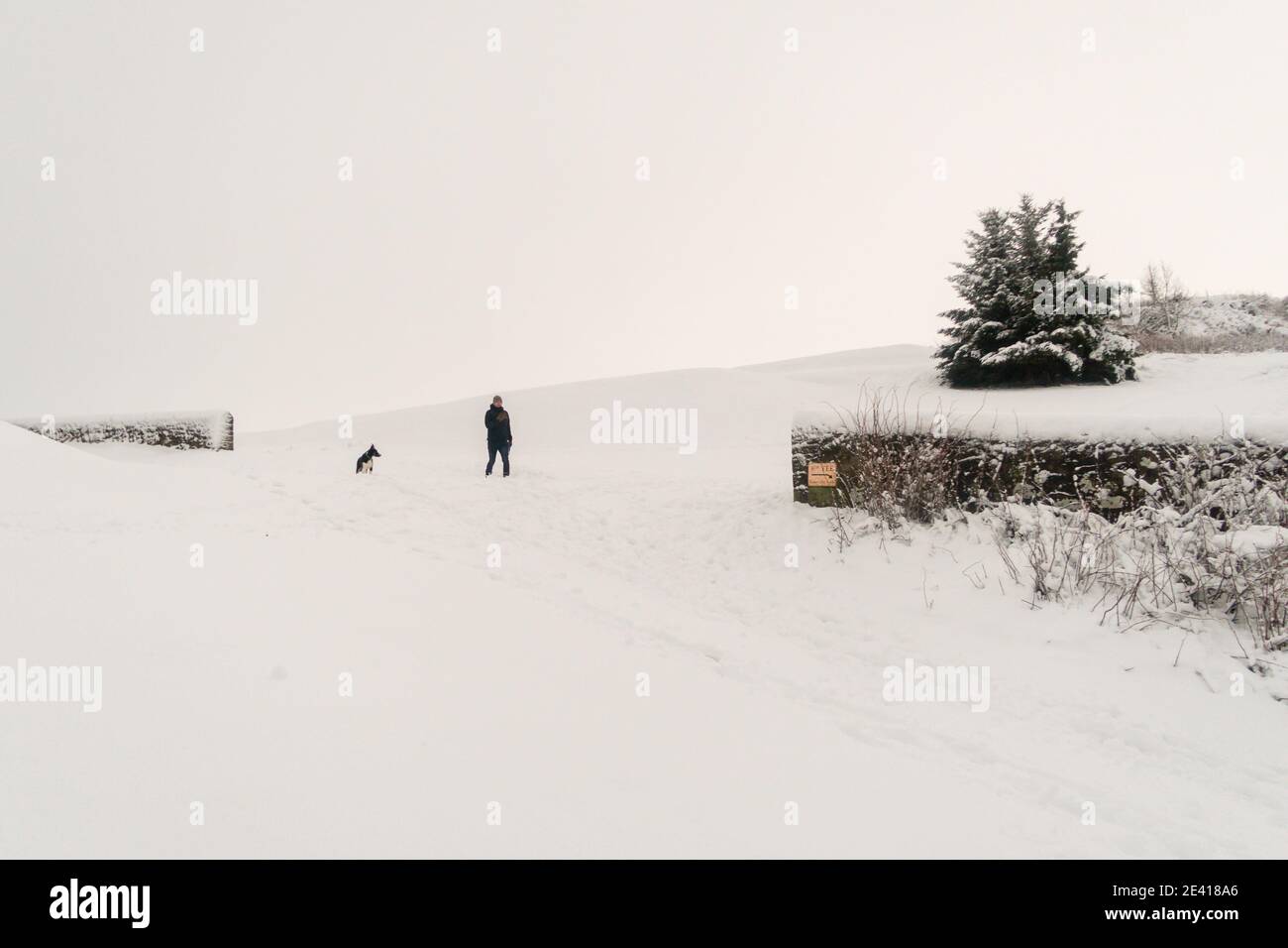Ein Mann und ein Hund, der im Schnee läuft Stockfoto