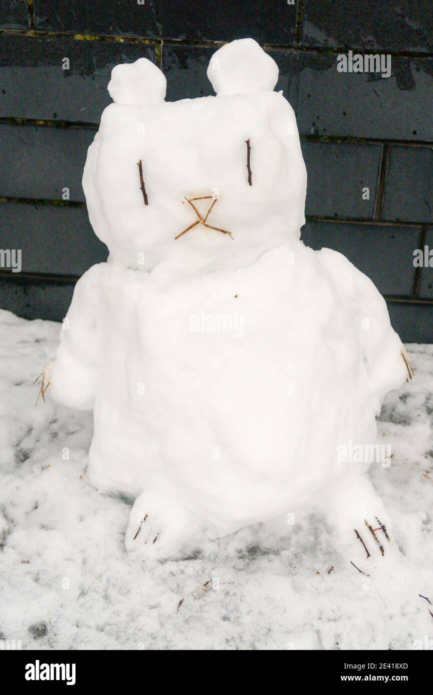 Ein Tier aus Schnee Stockfoto