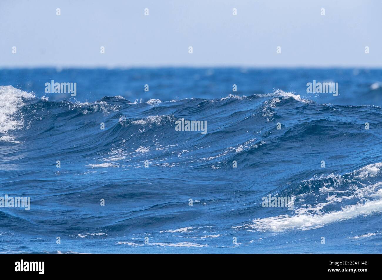 Große Welle, die über die Meeresoberfläche von den Schlingen rollt, Neuseeland, die Schlingen Stockfoto