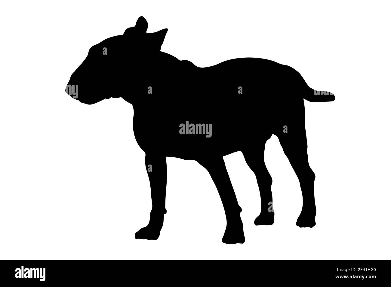 Schwarze Silhouette von Bull Terrier Hund isoliert auf weißem Hintergrund. Hochwertige Fotos Stockfoto