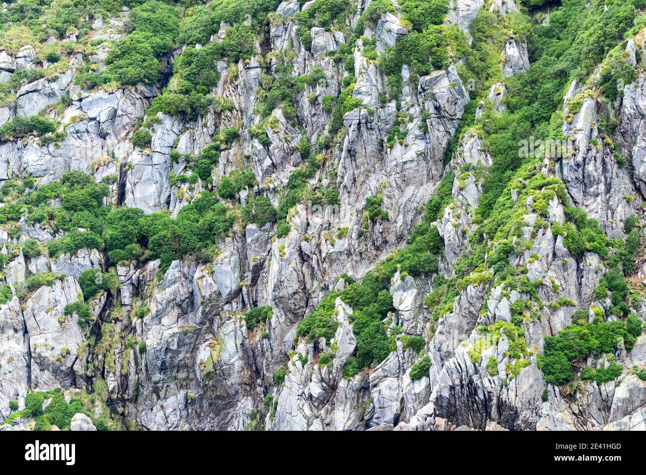 Steilklippe an der Küste auf den Schlingen, Neuseeland, die Schlingen Stockfoto