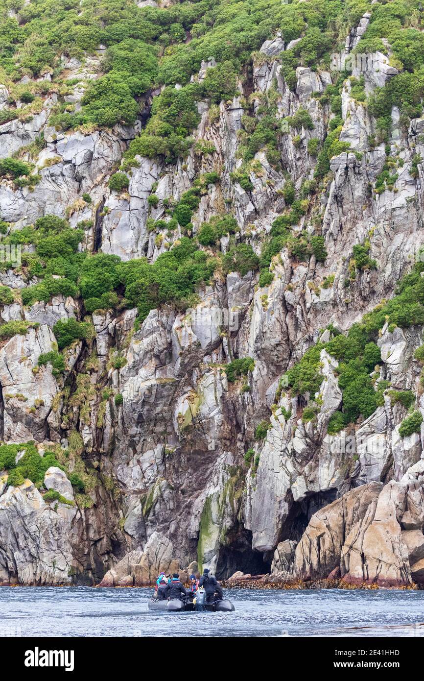 Zodiac Kreuzfahrt entlang der Küste auf den Snares, Expedition Kreuzfahrt Ökotouristen beobachten Wildtiere entlang der Küste, Neuseeland, die Snares Stockfoto
