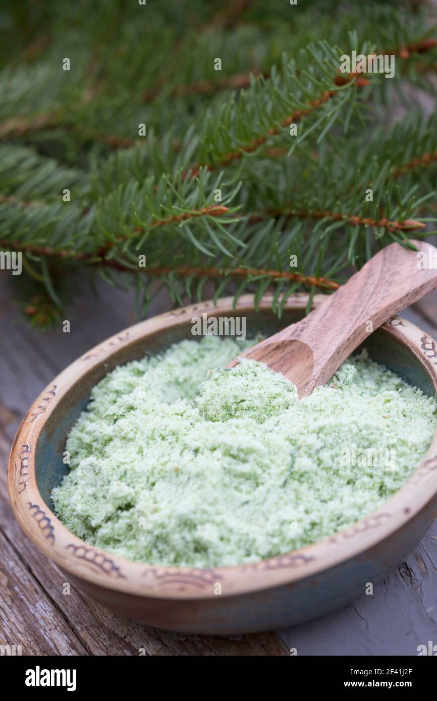 Norwegen Fichte (Picea abies), selbstgebautes Fichtensalz, Deutschland Stockfoto