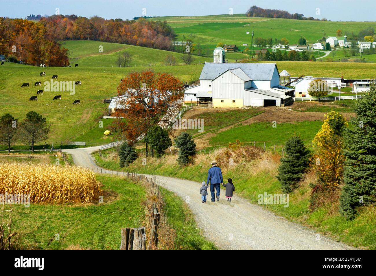 Amischen Lebensstil in und um Sugarcreek und Millersburg Ohio OH Stockfoto