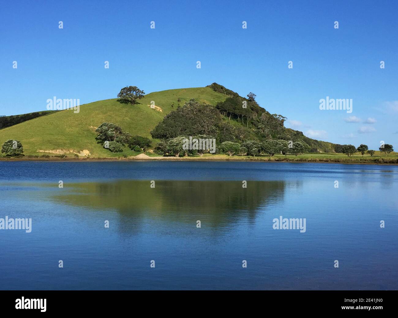 Süßwassersee im Tawharanui Regional Park, Neuseeland, Tokatu, Tawharanui Regional Park Stockfoto