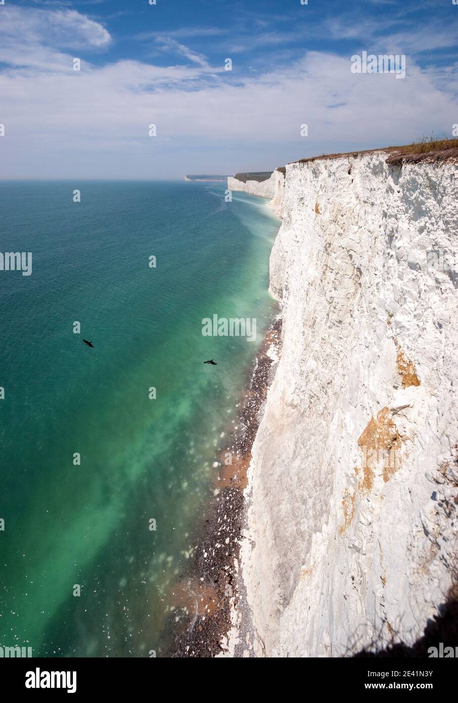 Seven Sisters Kreidefelsen und ein Paar Jackdaws fliegen darunter - von Birling Gap Sussex UK Stockfoto