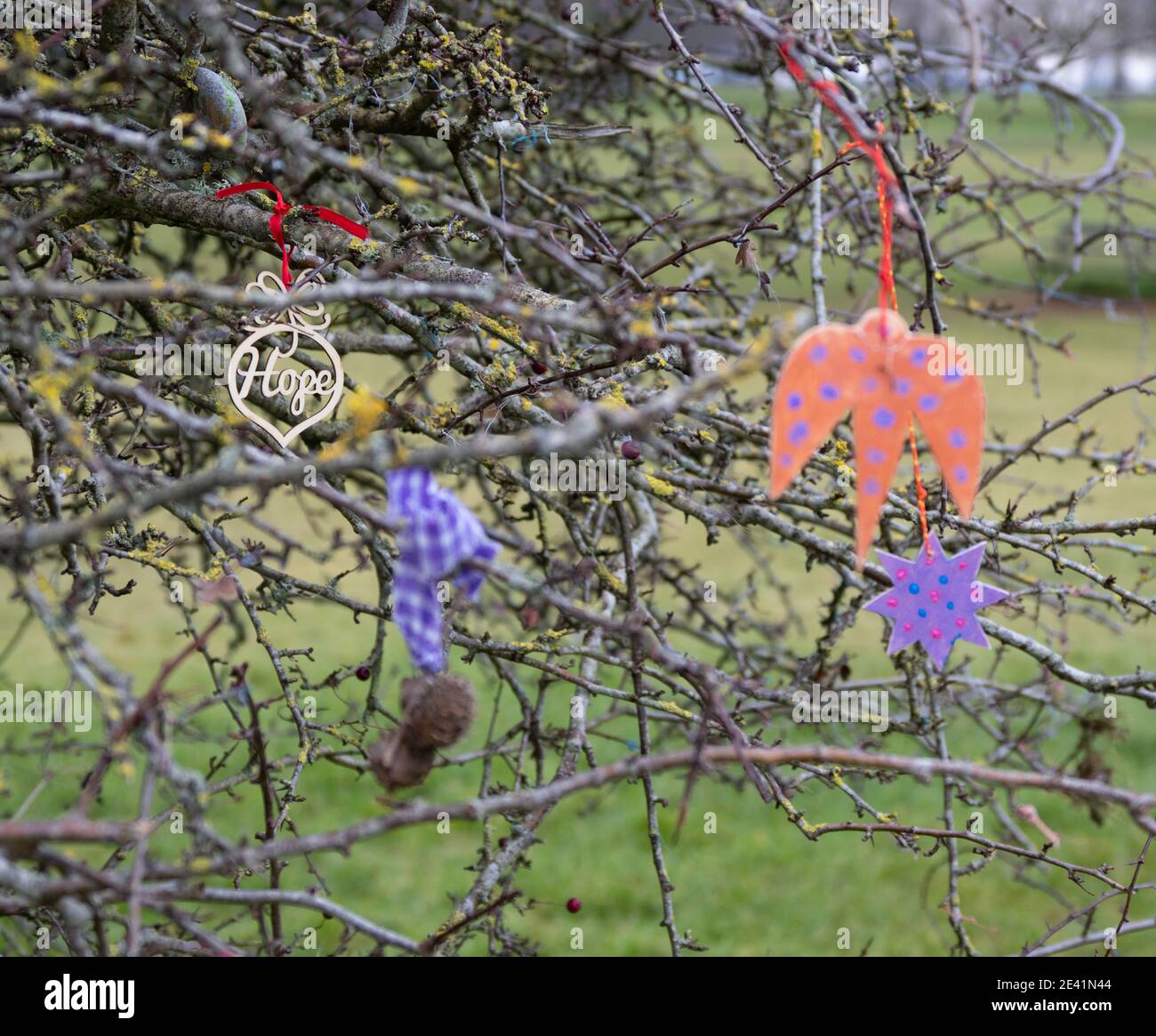 Trauriges Relikt des Wish Tree Hawthorn auf den Downs Bristol während der Corinavirus-Pandemie von 2020/21 mit Hoffnung und ein paar Wünschen übrig Stockfoto