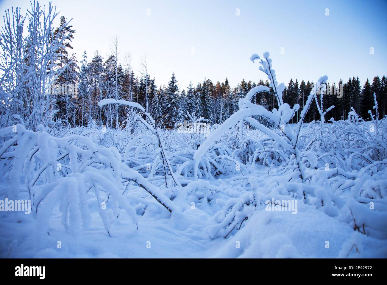 MOTALA, SCHWEDEN - 6. JANUAR 2016: Winter und Kälte halten mit Minusgraden im Griff. Stockfoto