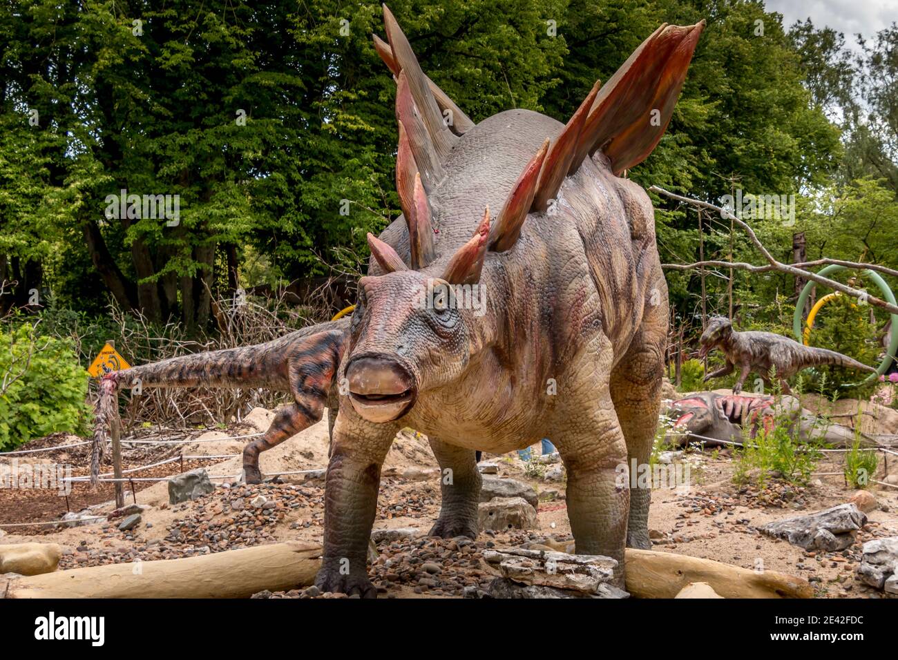 Aalborg, Dänemark - 25 Jul 2020: Dinosaurier Stegosaurus in natürlicher Umgebung und in lebensechter Größe Stockfoto