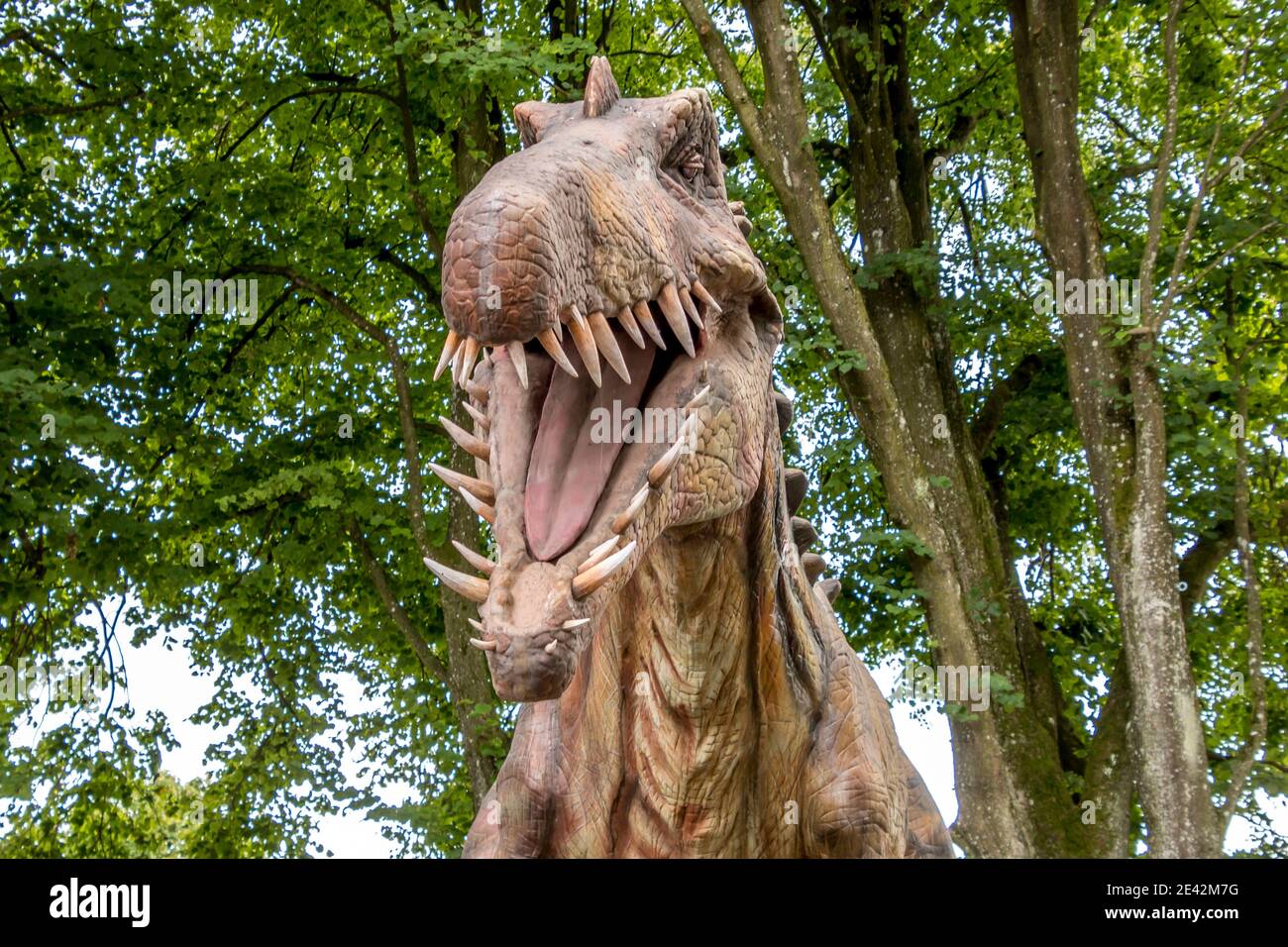 Nahaufnahme und Seitenansicht eines grimmigen Tyrannosaurus Rex rex Stockfoto