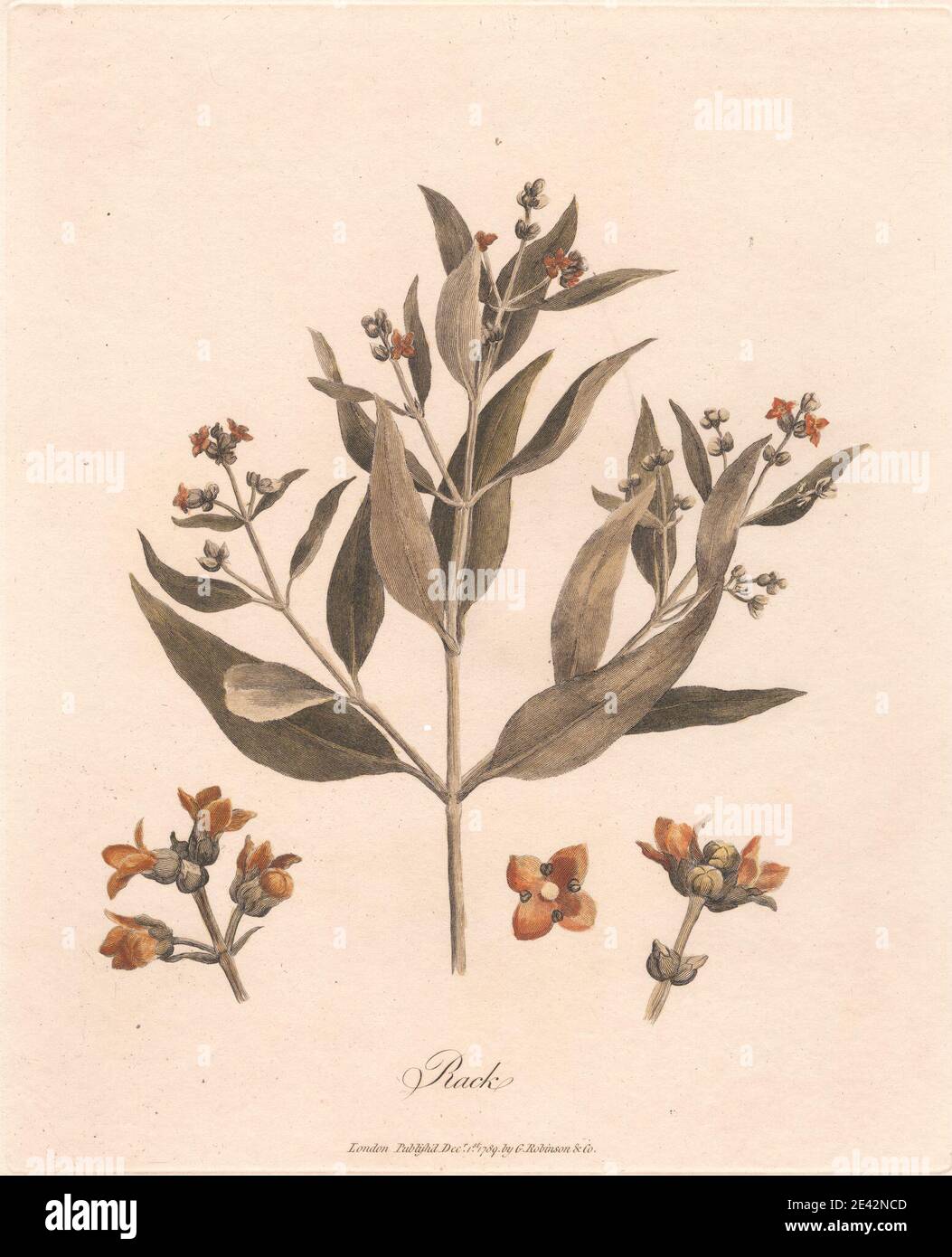 James Heath, 1757â € "1834, britische, Rack 1789, 1789. Gravur. Stockfoto