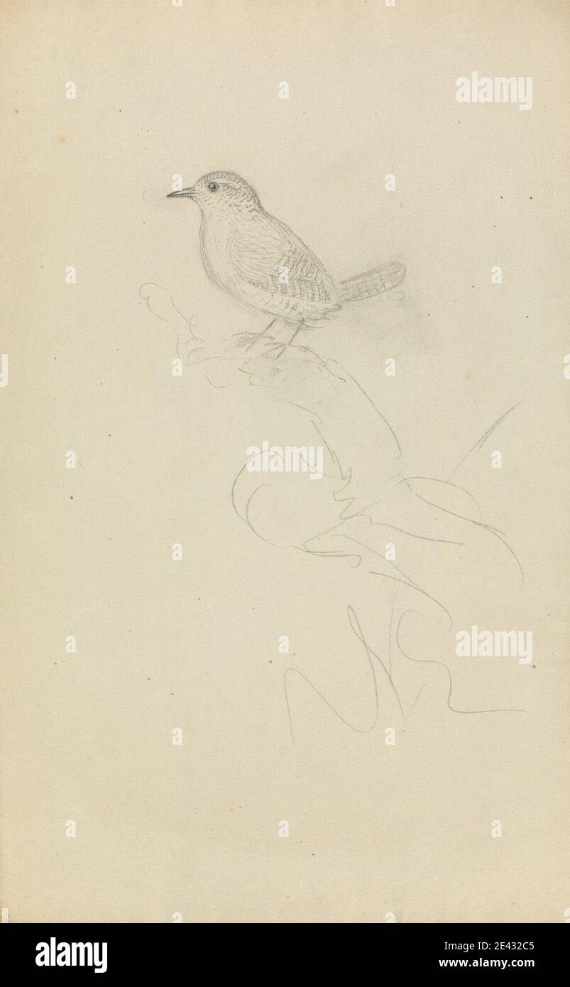 James Sowerby, 1756â € "1822, britische, EIN Wren, undated. Graphit auf mittlerem, glattem, cremefarbenem Webepapier. Tierkunst, Vogel, Wrens Stockfoto