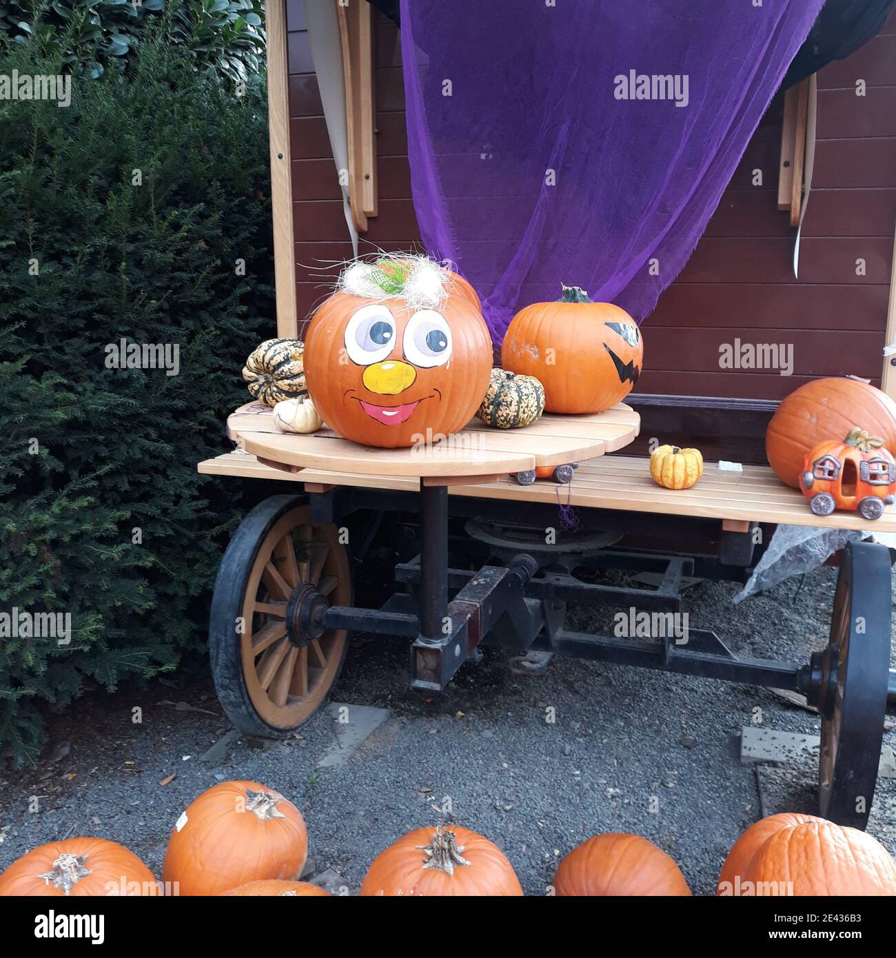 Kürbis Dekoration - Halloween Stockfoto