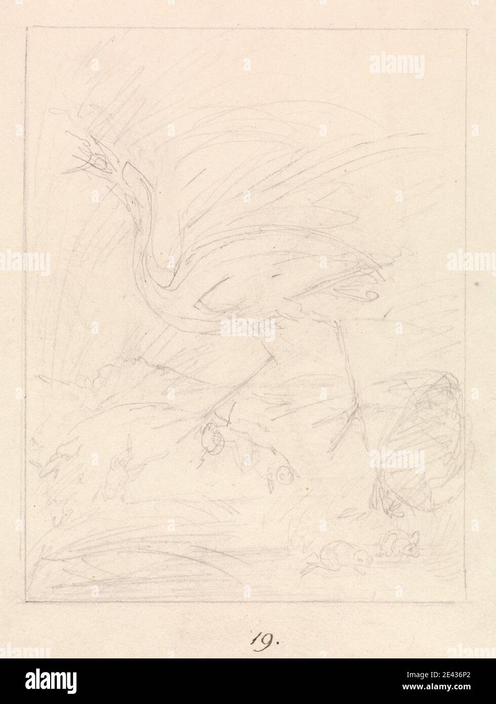 Samuel Howitt, 1756â € "1822, Briten, Kranich und Frösche, nach 1813. Graphit auf Medium, leicht strukturiert, cremefarbenes Wove-Papier. Tierkunst, Kran (Vogel) Stockfoto