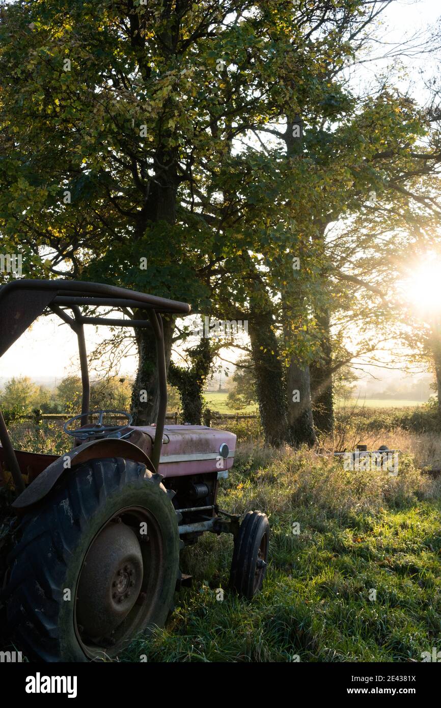 Ein rostiger alter Traktor, der an einem Sommerabend auf einem Feld steht. Mit der Sonne im Hintergrund beleuchtet. Stockfoto