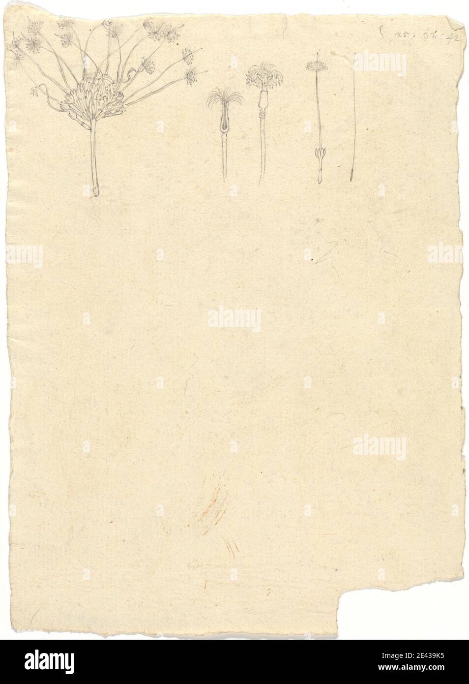 Luigi Balugani, 1737â € "1770, Italienisch, [einer der] verschiedene Skizzen in Wrapper, undated. Graphit auf mäßig dickem, mäßig strukturiertem, cremefarbenen Papier. Stockfoto