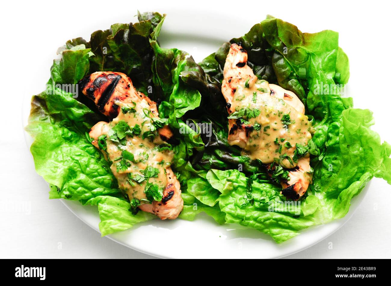 Gesunde Hähnchenbrettchen in Salat verpackt Stockfoto