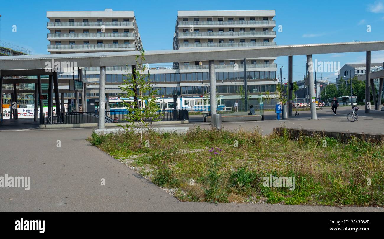 Zürich, Schweiz - 12. August 2020: Bahnhof Stettbach vor Gebäuden Stockfoto