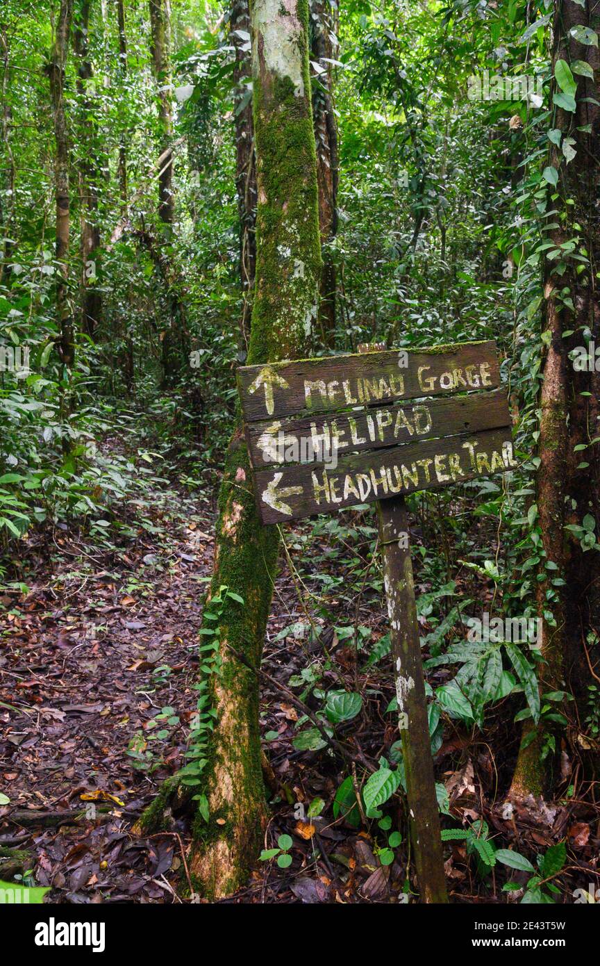 Headhunter Trail im Gunung Mulu National Park, Malaysia Stockfoto