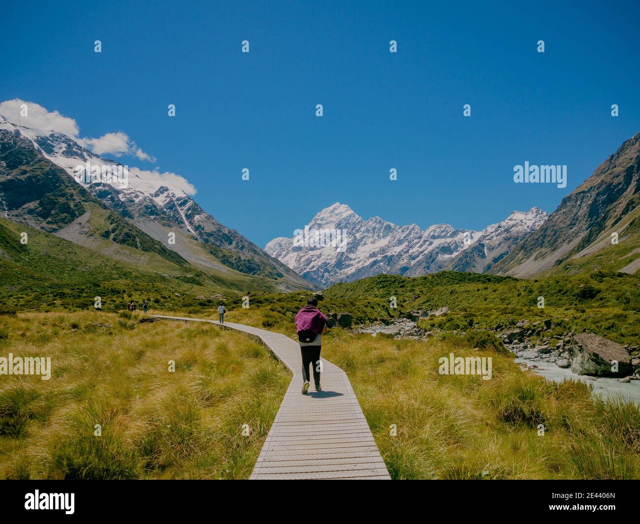 Versteckt südlich von neuseeland Stockfoto