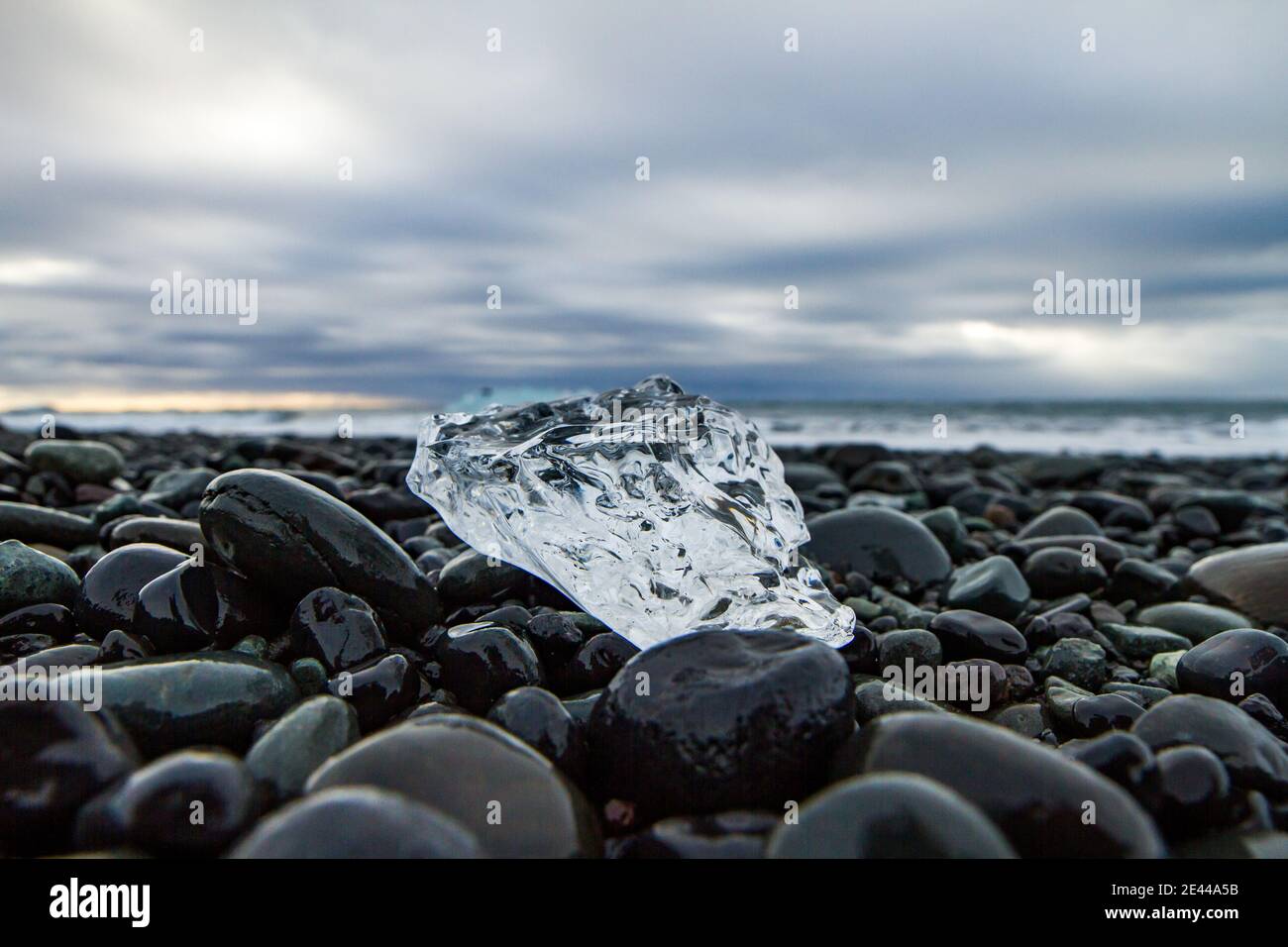 Kristallklares Stück Eis auf nassen Felsen am Meer Im Winter gibt es in Island bewölktes Wetter Stockfoto