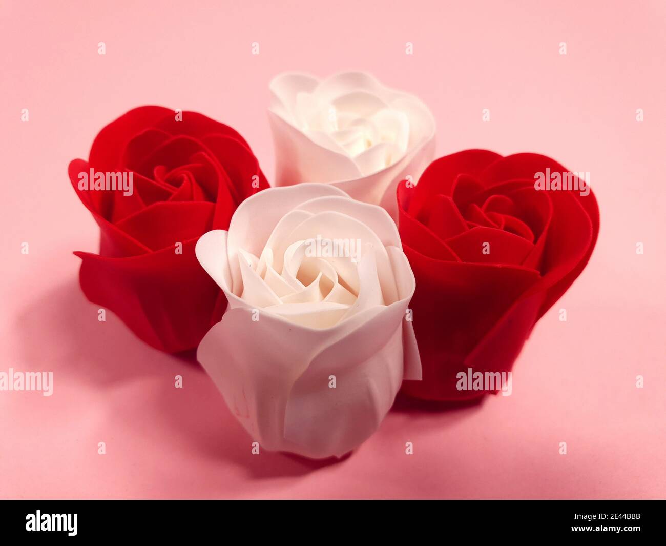 Rote und weiße Rosen auf rosa Hintergrund, Dekoration für Valentinstag und internationalen Frauentag. Stockfoto